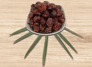 خرید و قیمت روز خرما برحی اهواز