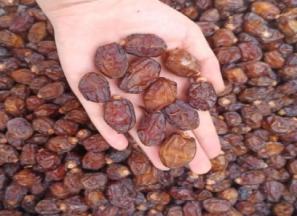 خرید خرما خاصویی بدون شیره + بهترین قیمت