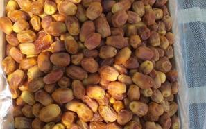 قیمت خرید خرما زاهدی بلوچستان + تست کیفیت