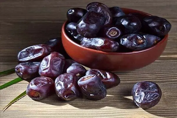 قیمت خرید خرما مجول دزفول + عکس