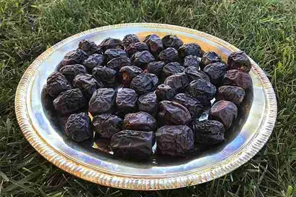 قیمت خرید خرمای صادراتی بم + عکس