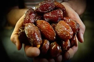 قیمت خرید خرمای خشک سطلی + مشخصات، عمده ارزان