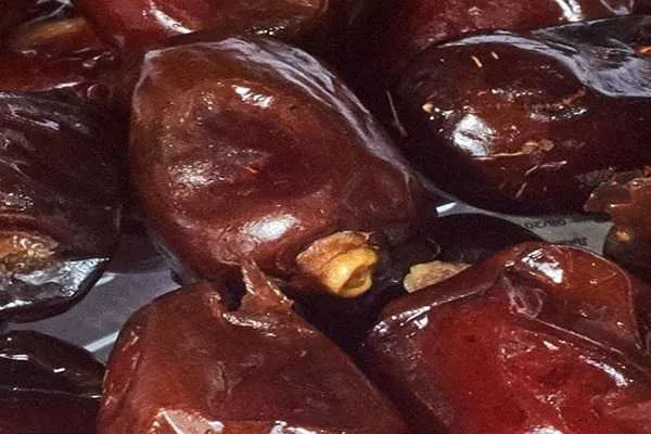 راهنمای خرید خرما عسلی بوشهر + قیمت عالی