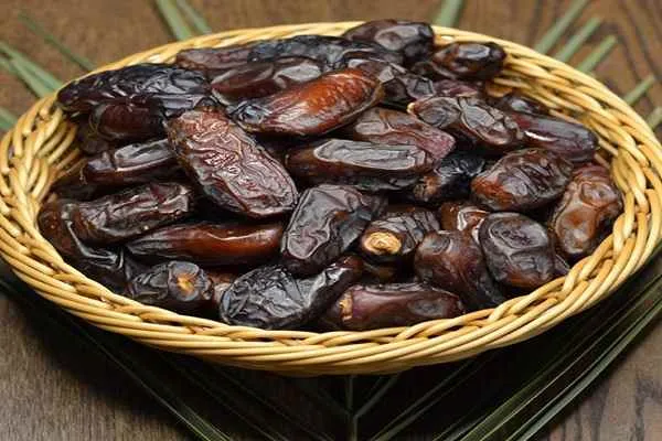 قیمت خرید خرمای جنوب تازه + خواص، معایب و مزایا