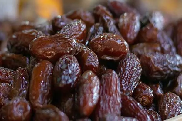 راهنمای خرید خرمای زاهدی تازه + قیمت عالی