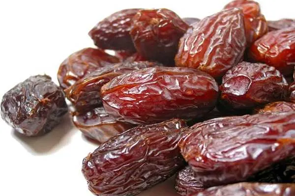 خرید خرما مجول خواص + قیمت عالی با کیفیت تضمینی