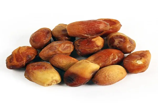 قیمت خرما مجول خشک + مشخصات بسته بندی عمده و ارزان