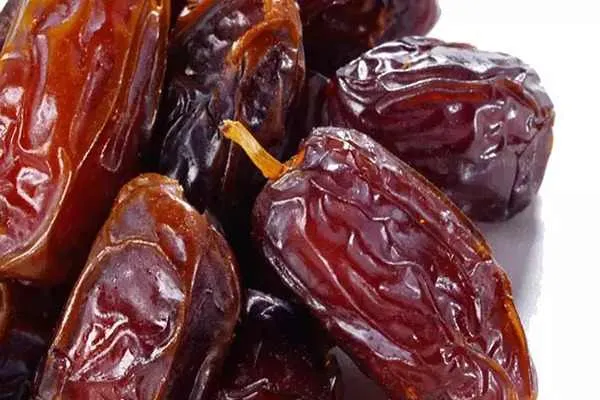 راهنمای خرید خرما عسلی بوشهر + قیمت عالی