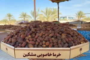 خرما خاصویی مشکین برای خرید عمده و همکاری تامین‌کننده