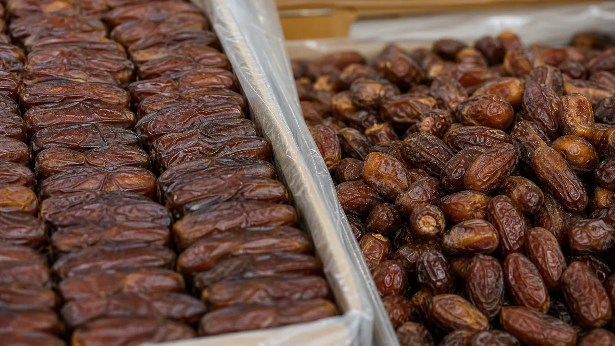 خرما خاصویی سرچین مناسب مصرف روزانه و پذیرایی رسمی